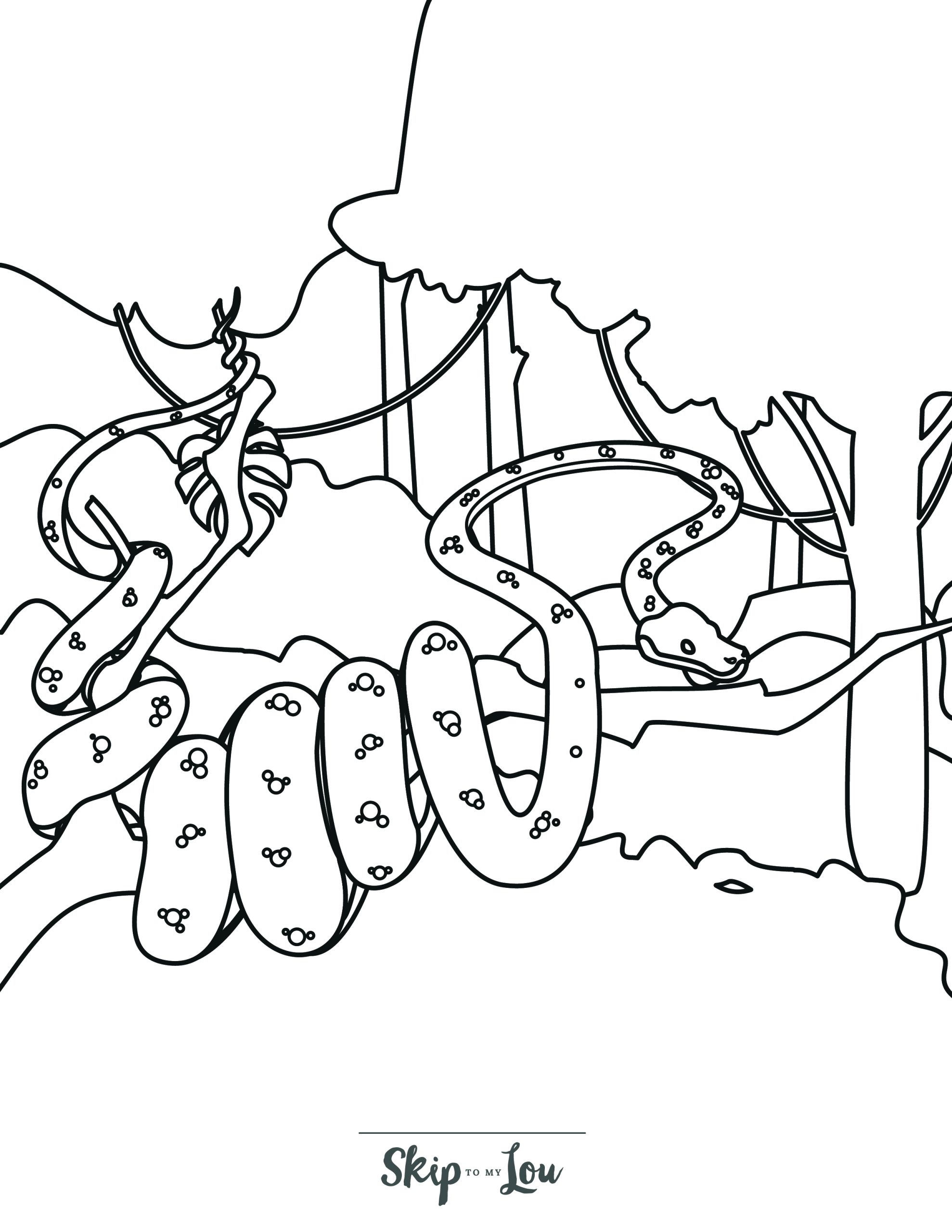 Snake Coloring Page 11 - Realistic line drawing of Boa Constrictor wrapped around tree branch in jungle
