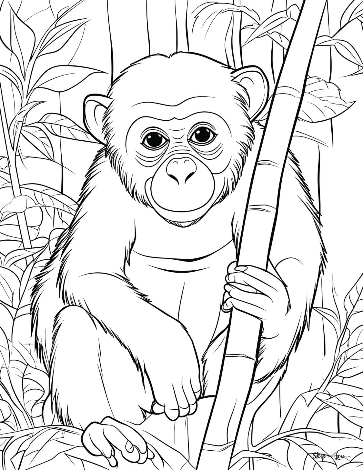 chimpanzee coloring page