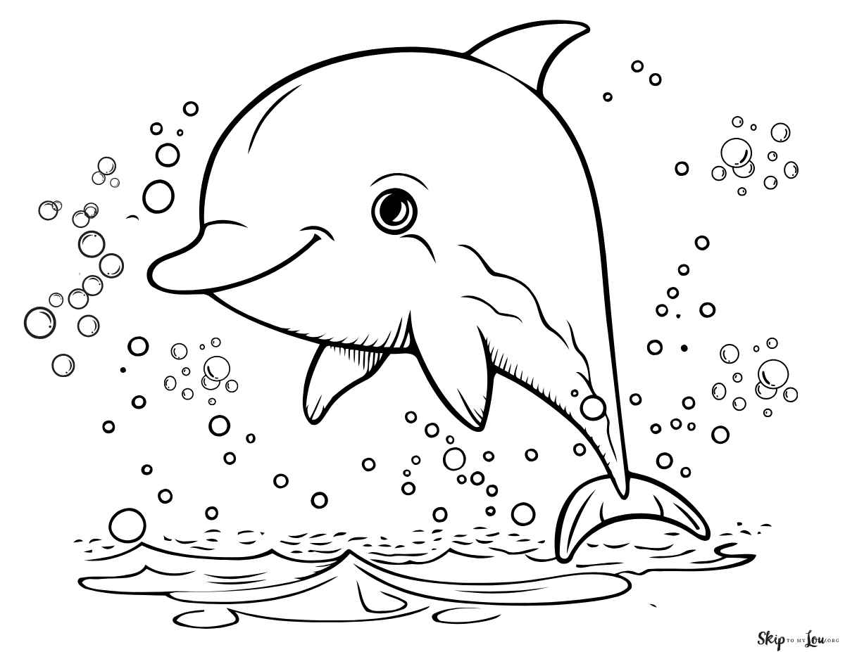 dolphin with bubbles