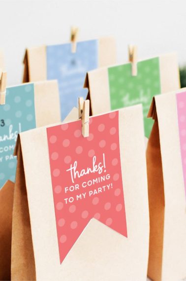 Image shows several party favor with party favor tags in different colors
