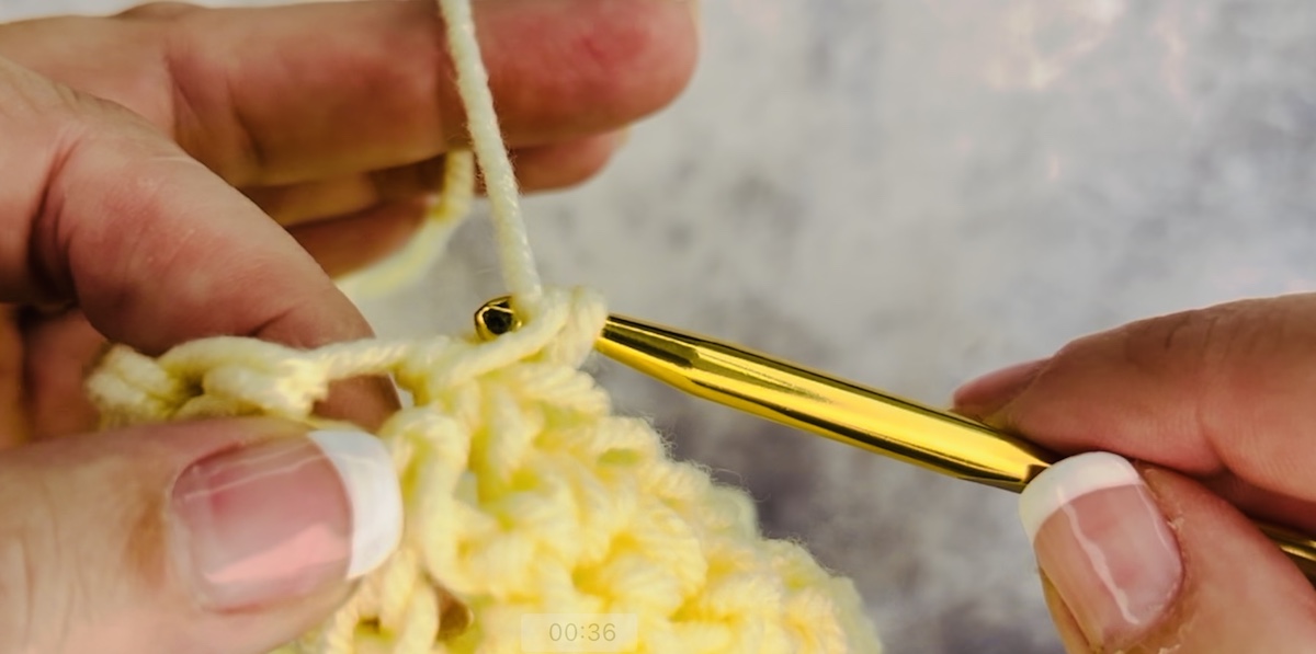 Step 5 to make a stitch crochet. Pull this loop through the chain, so you now have two loops on your hook.
