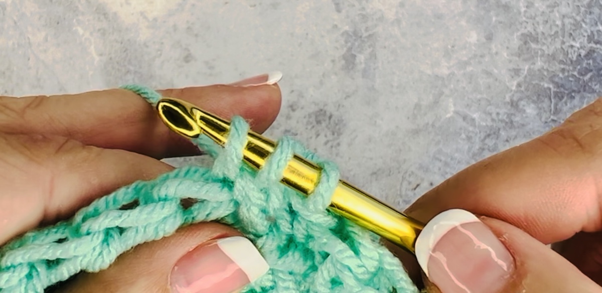 Fourth step of a half double crochet done with green yarn. Reach through the stitch and grab the yarn, pulling it back through the stitch. - Skip to my Lou