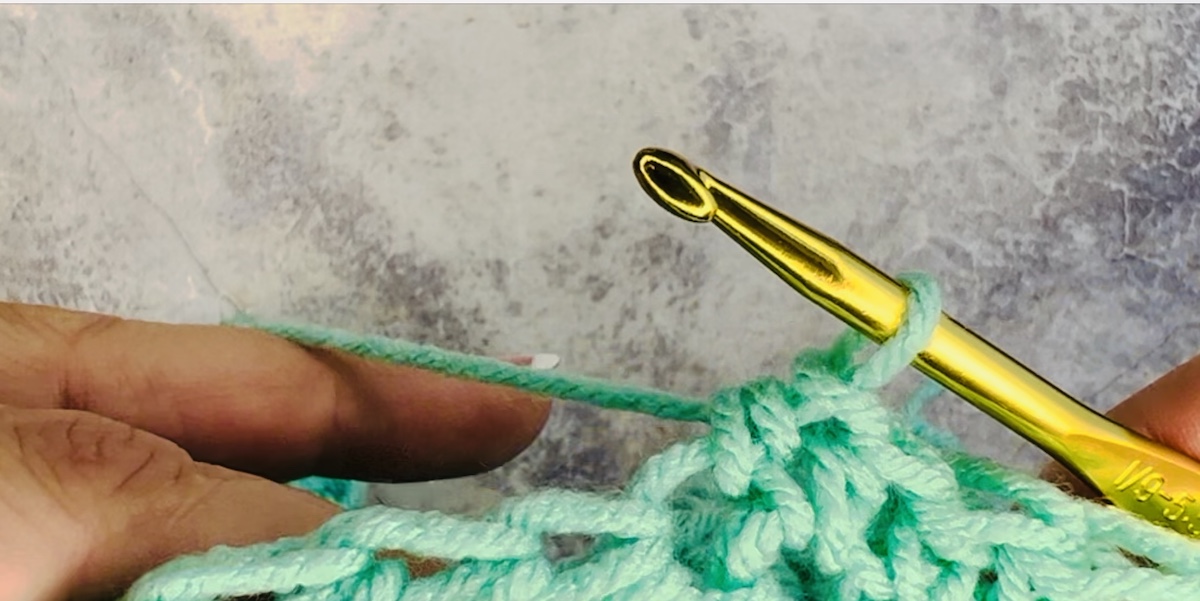 Final result of a half double crochet done with green yarn. - Skip to my Lou