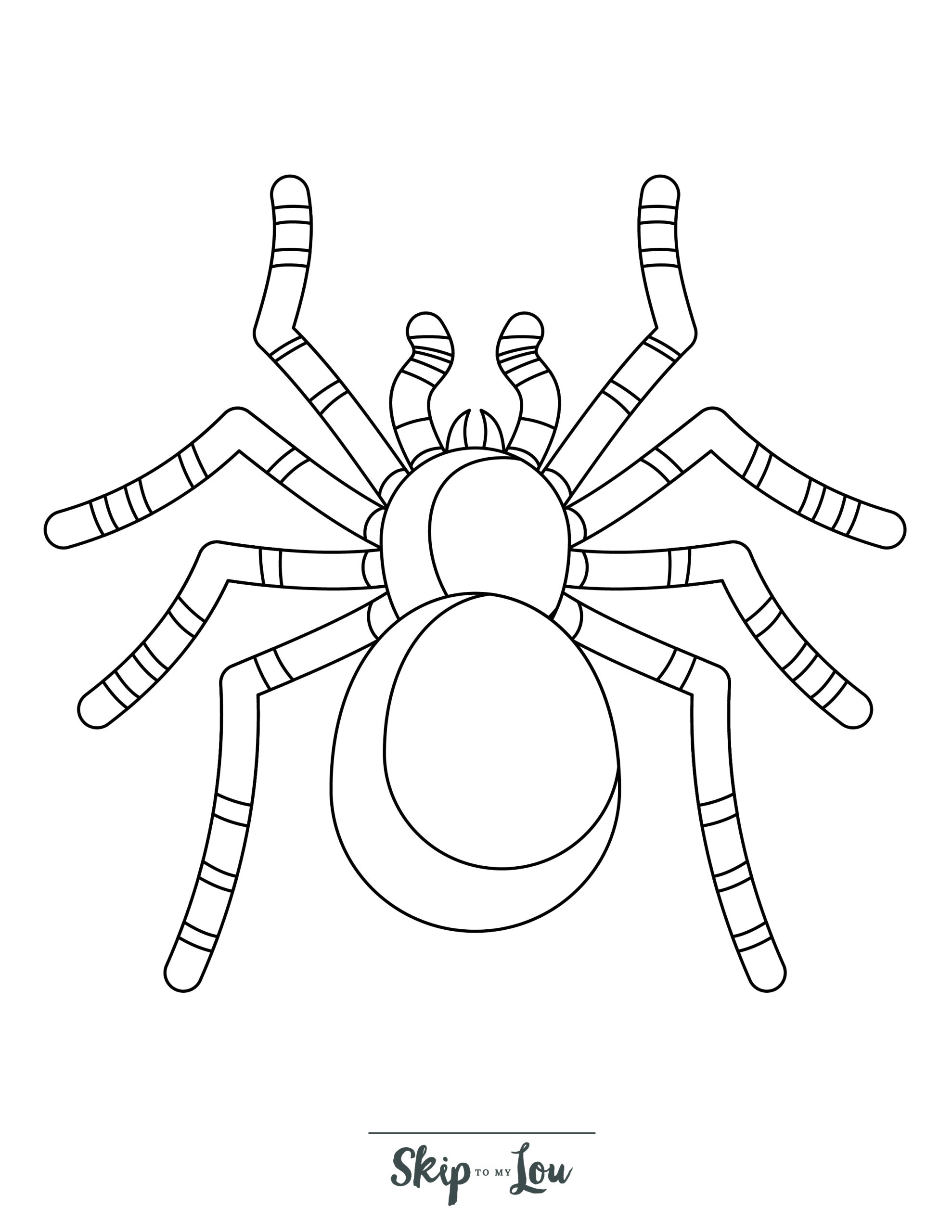 Spider Coloring Page 10 - Line drawing of a tarantula