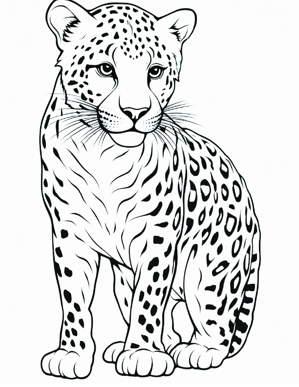 Cheetah Coloring Page 1 - Line drawing of a cheetah with hunched shoulders