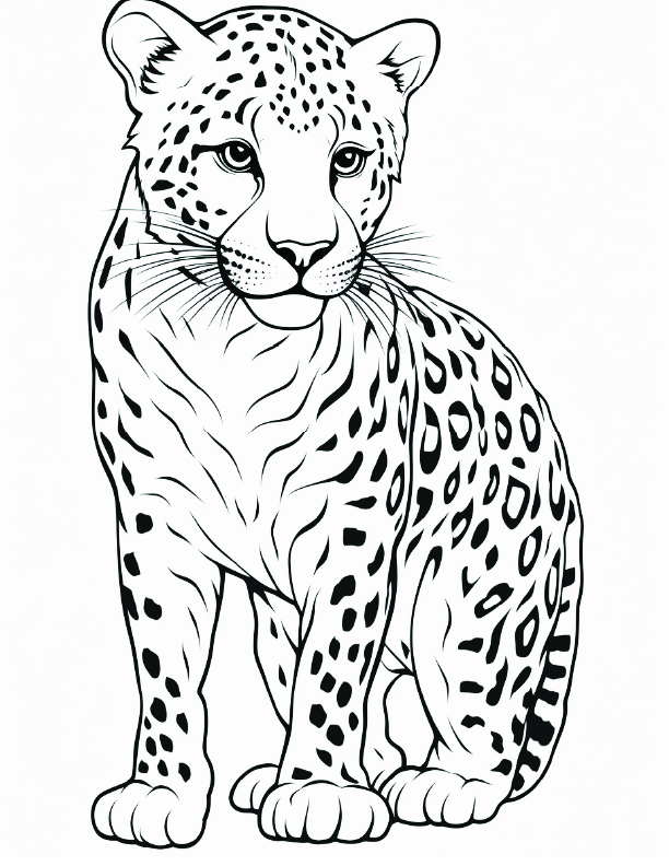 cheeta