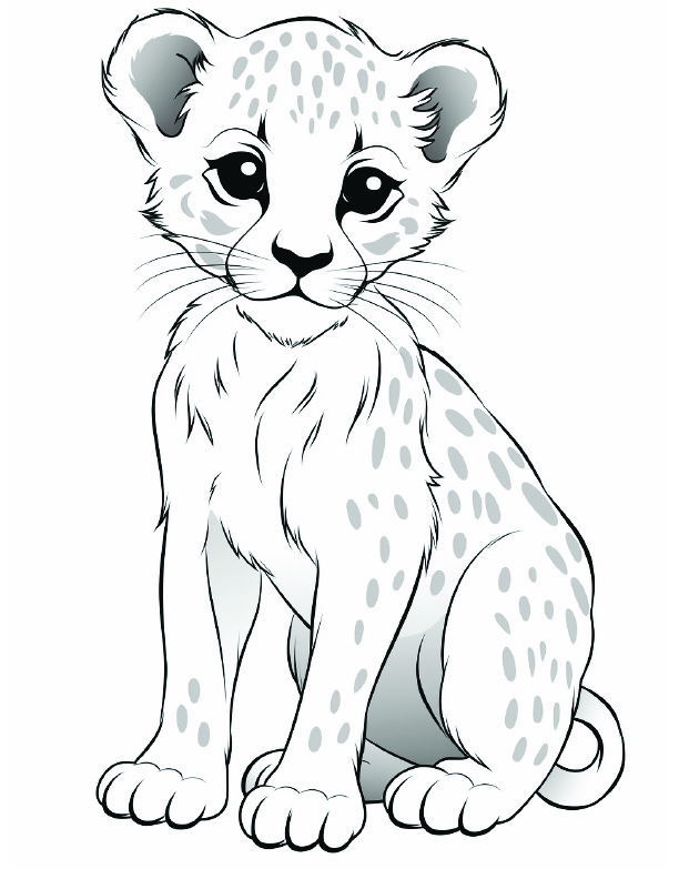 Cheetah Coloring Page 11 - Line drawing of a baby cheetah in a cartoon style