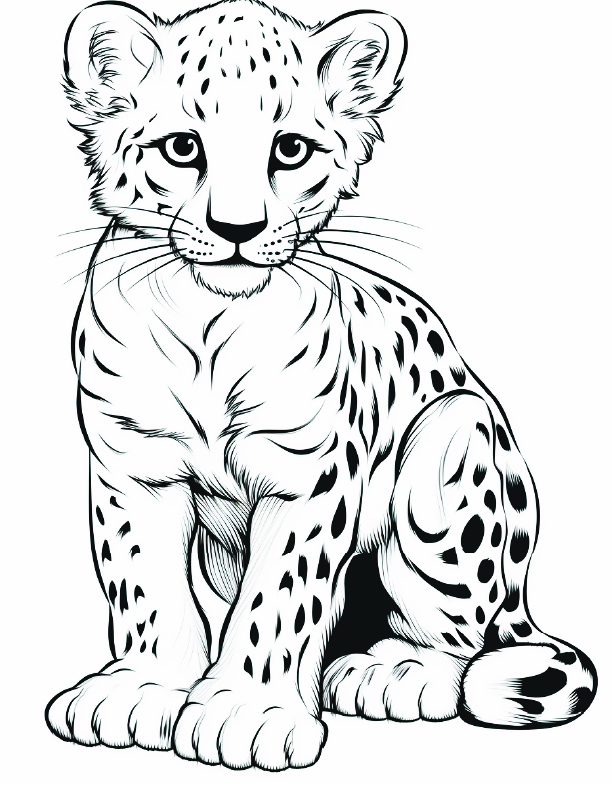 Cheetah Coloring Page 13 - Line drawing of a baby cheetah with lots of muscles