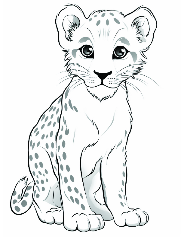 Cheetah Coloring Page 3 - Line drawing of a baby cheetah with big cute eyes and whiskers