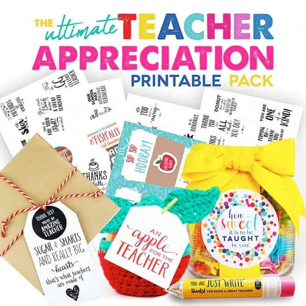 teacher bundle