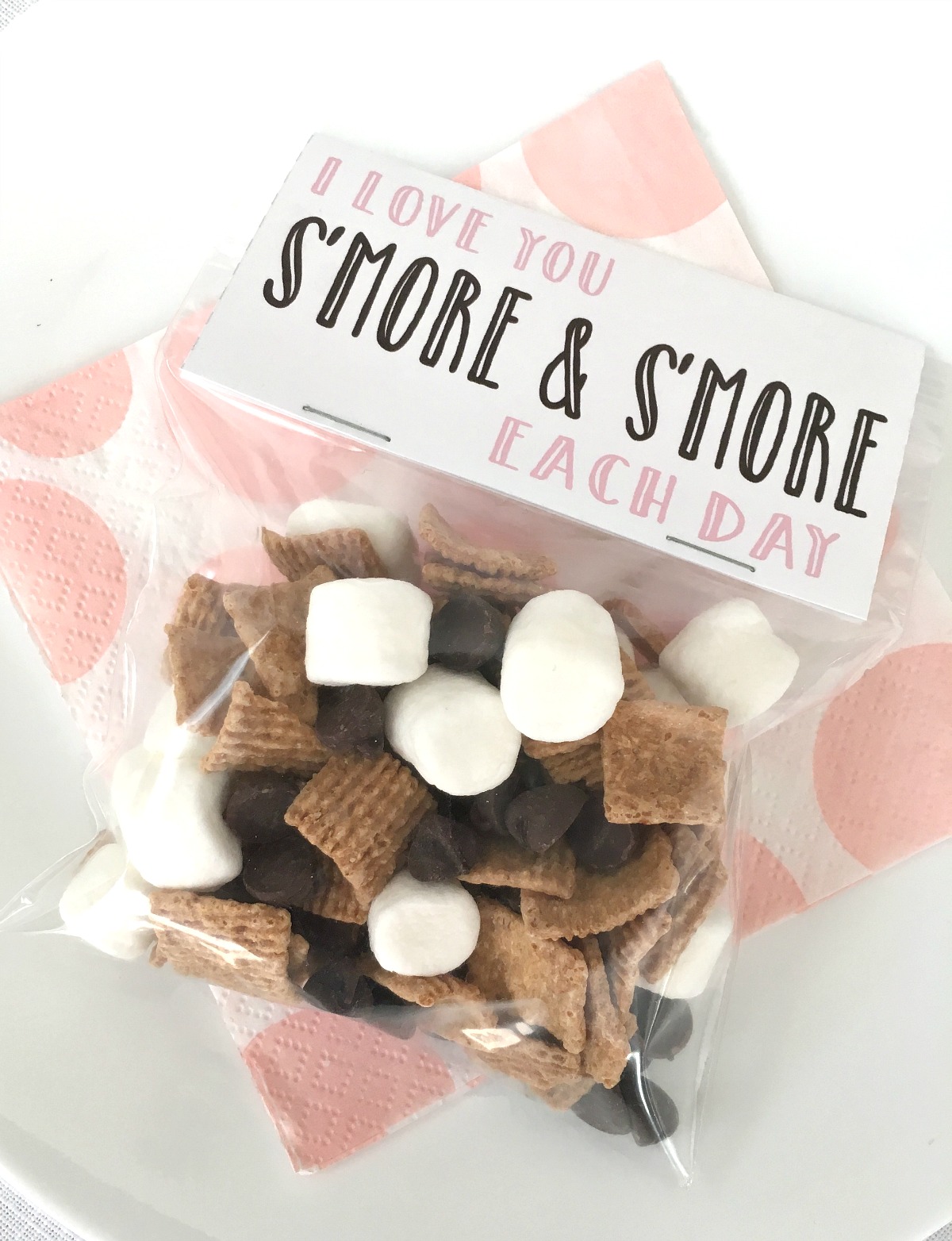 bag filled with homemade smore snack mix with tag attached that says i love you smore and smore each day
