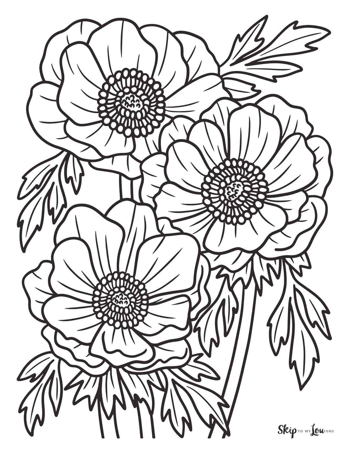 anemone flower coloring page