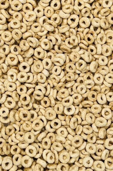 closeup of a whole bunch of Cheerios