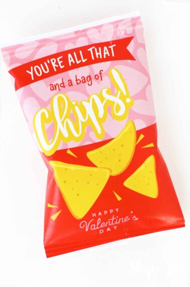 diy chip bag that says youre all that and a bag of chips