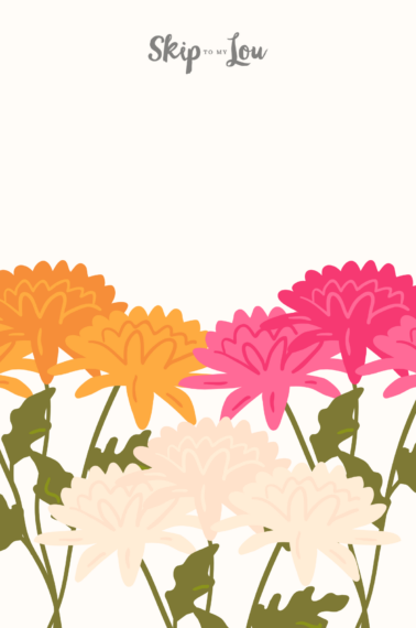 Image shows a drawing of a Chrysanthemum garden in pink, white and orange.