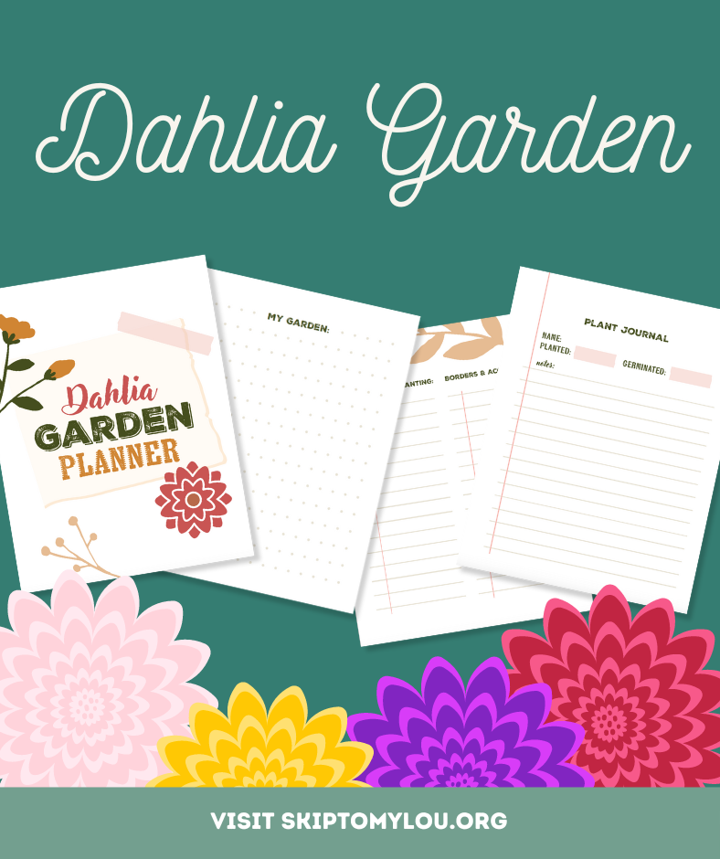 Various dahlia garden flowers on a green background with a garden planner. 