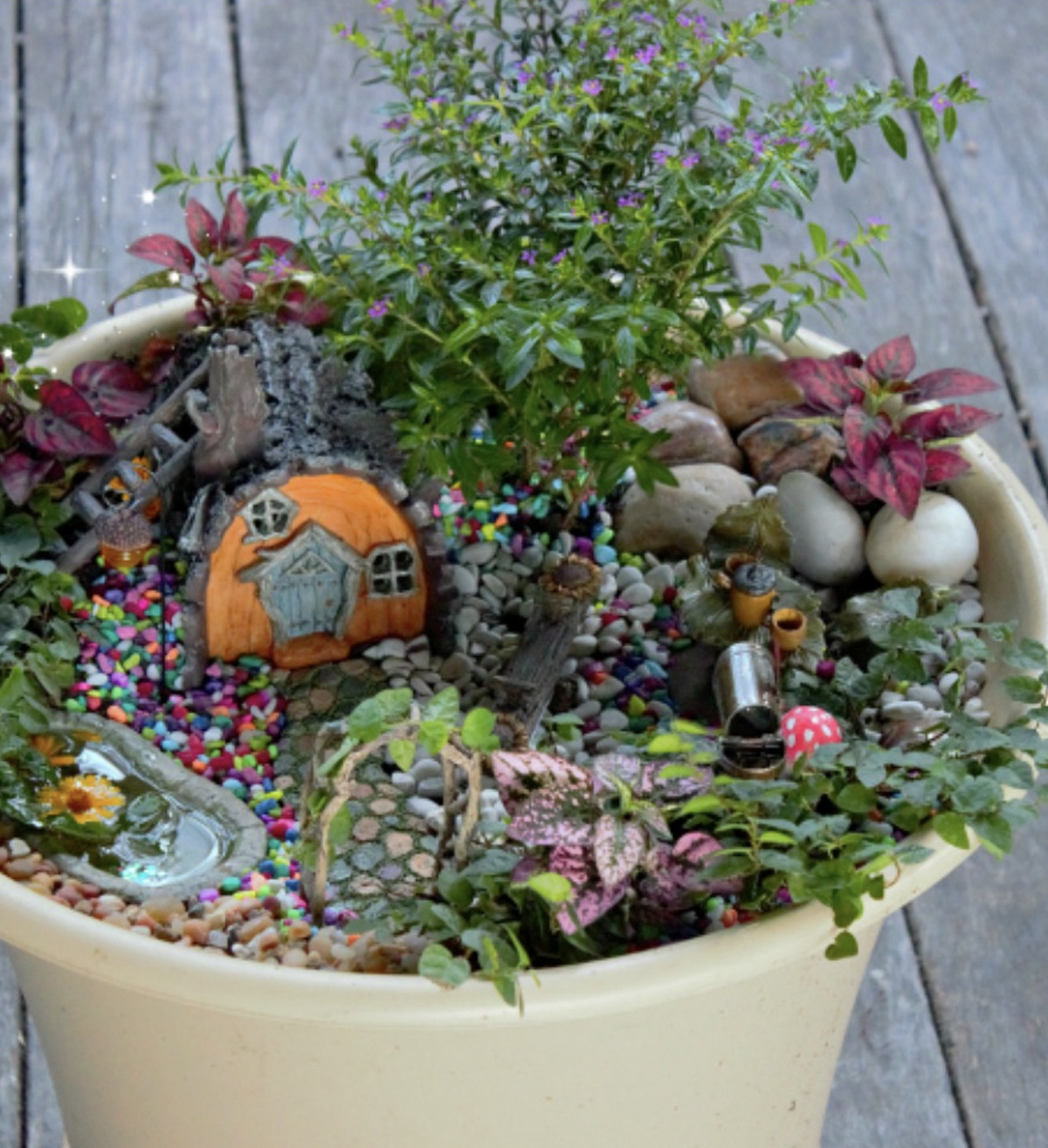 A fairy garden with various plants, large stones, colored pebbles, a toadstool, a letter box, and a small fairy house. 