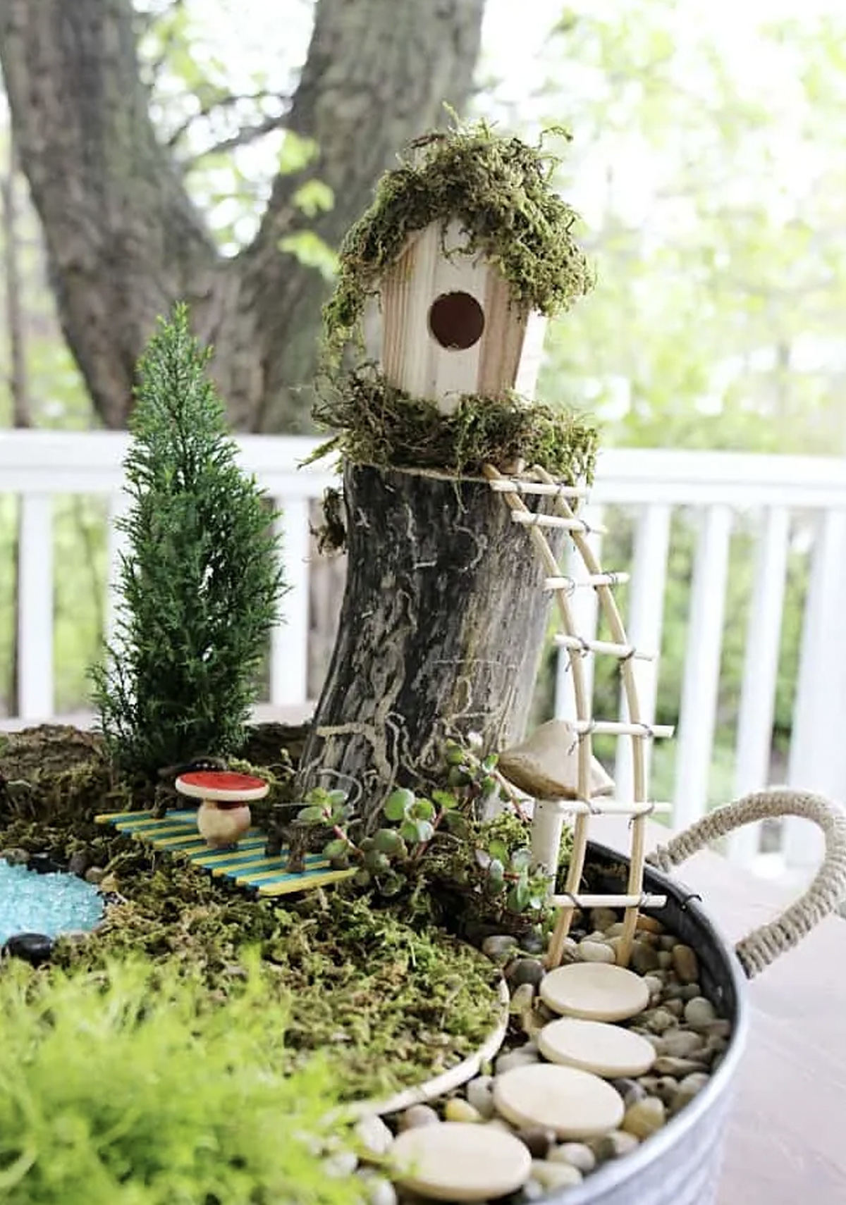 A fairy garden of varying heights featuring small trees, succulents, a toadstool, and a bird house on top of a log with a moss-covered roof.  The garden itself is constructed in a regular garden pot. 