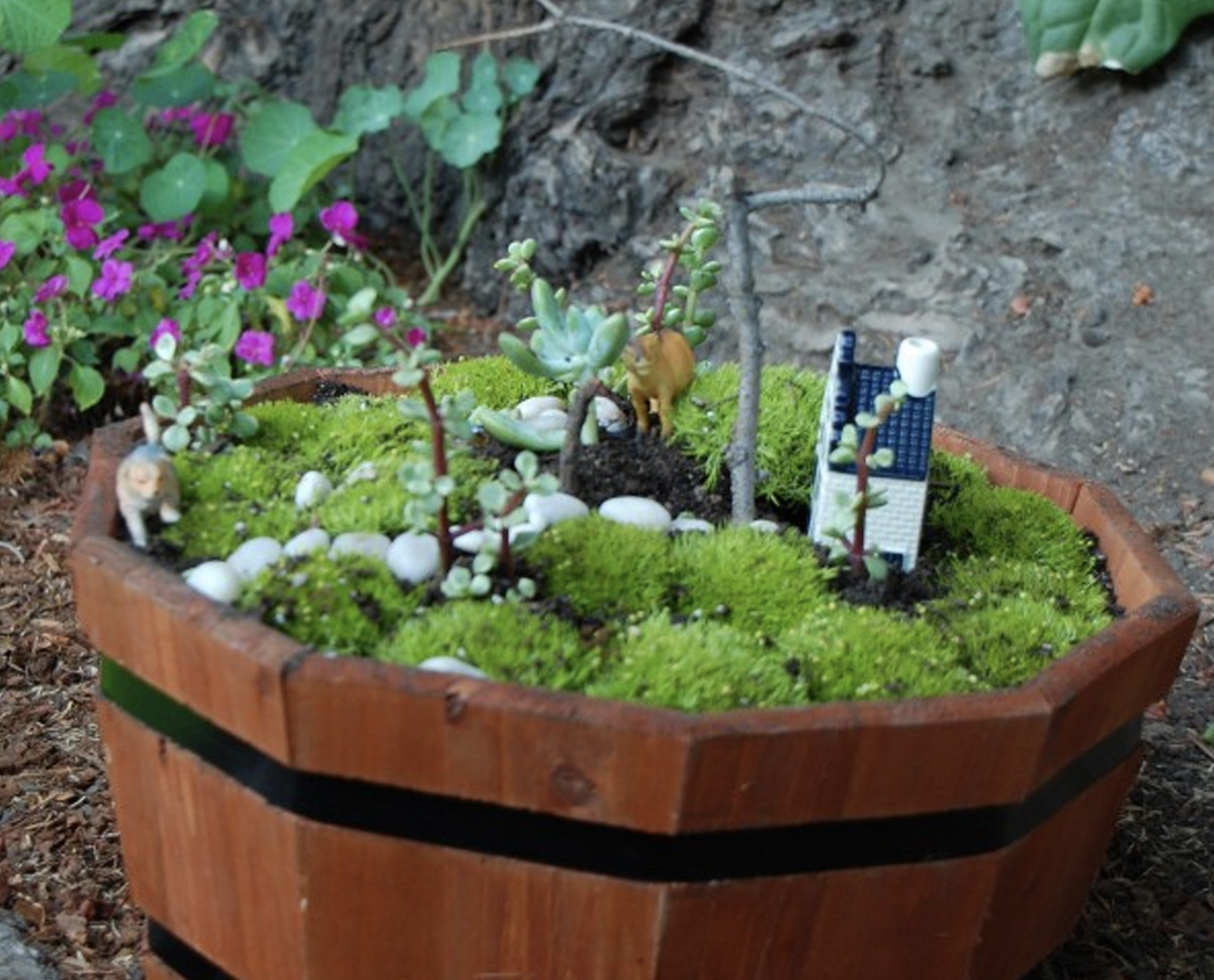 A fairy garden made within a wooden barrel with moss covering for ground, a tiny fairy house, a lion, and a deer. The plants in the garden are succulents. 