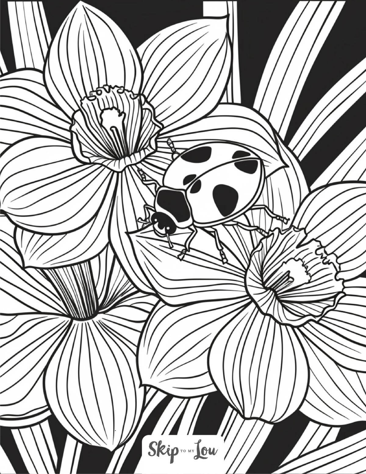 Skip to my Lou - Garden Coloring Pages - Line picture of ladybug on a daffodil.