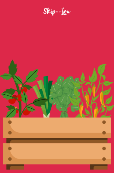 salsa garden on a red background
