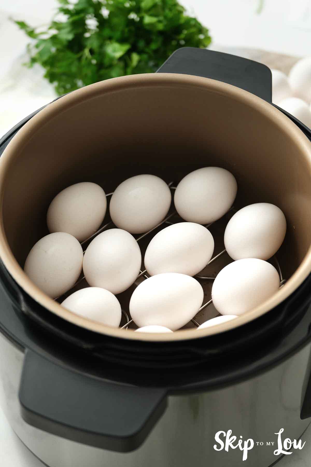 eggs inside instant pot