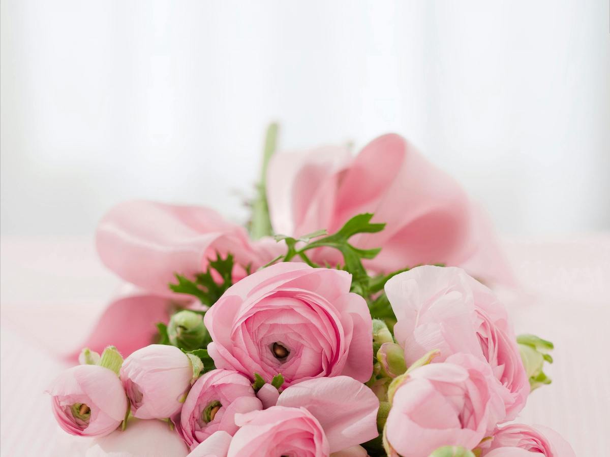bouquet off pink roses with a pink ribbon tied around it