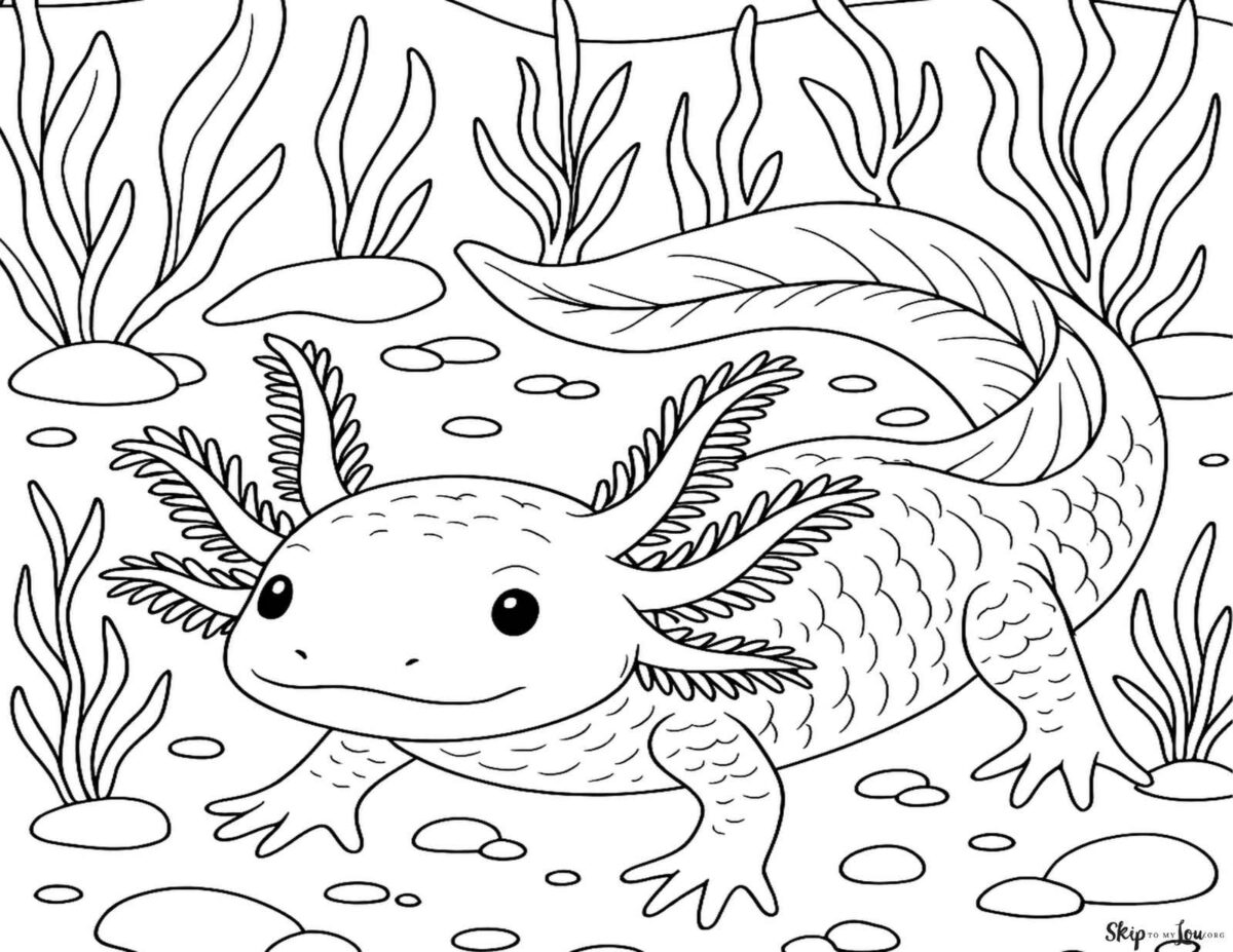 Axolotl  coloring page
