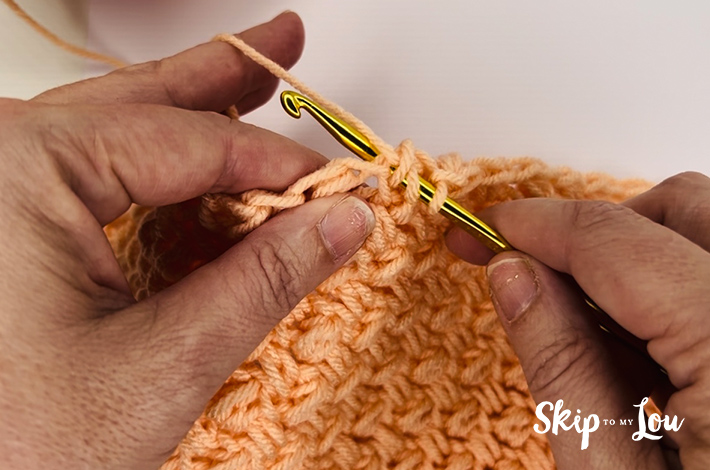 Step 5 –  Insert hook back into same chain stitch