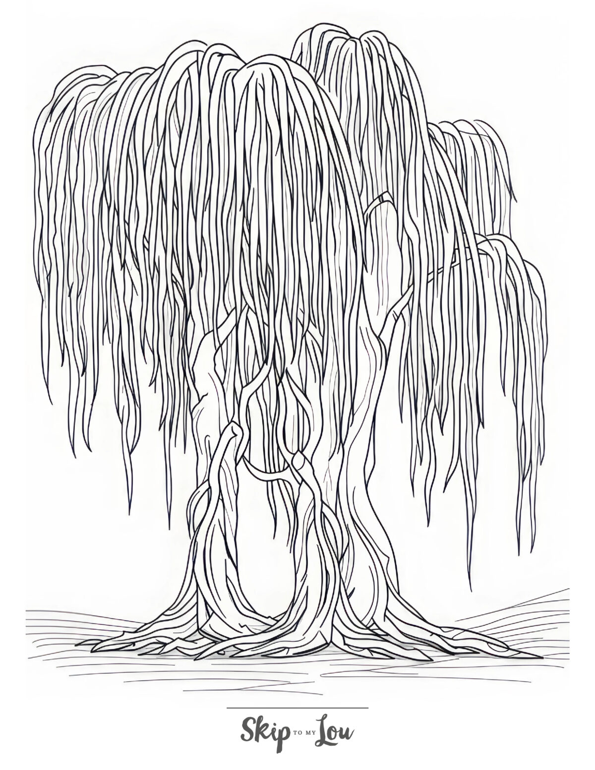 A tree coloring page featuring a willow.