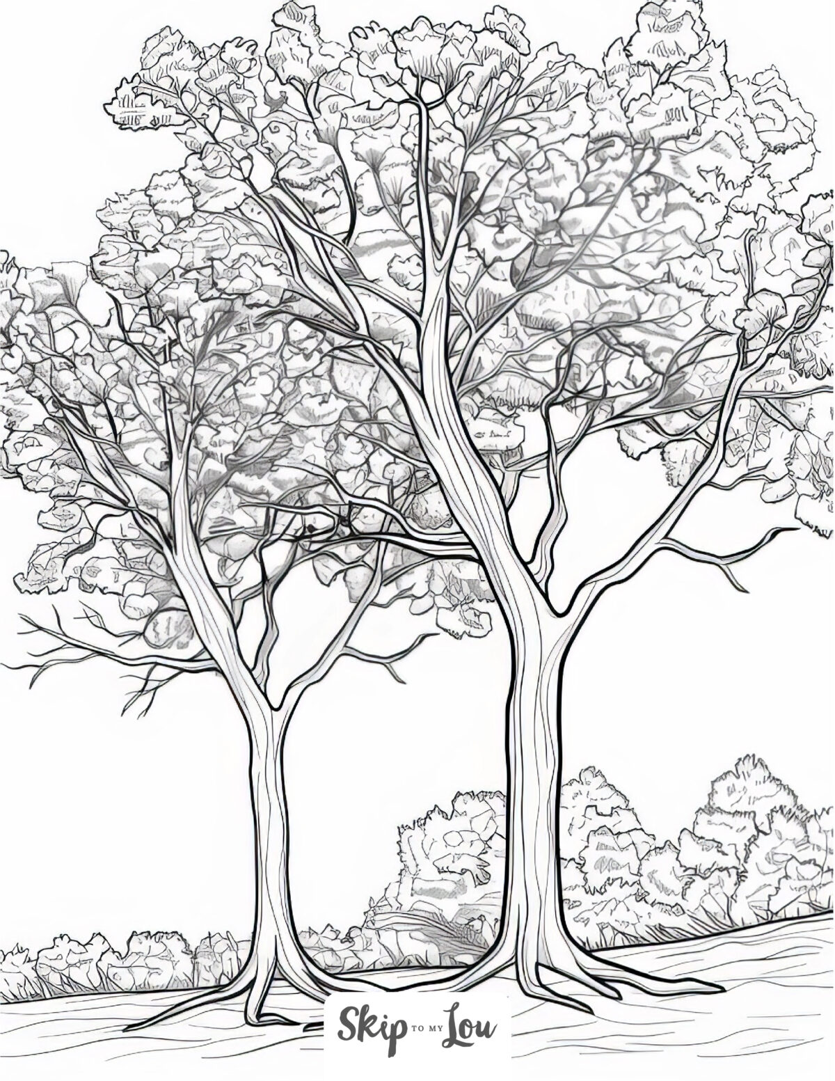 A tree coloring page featuring a red maple tree.