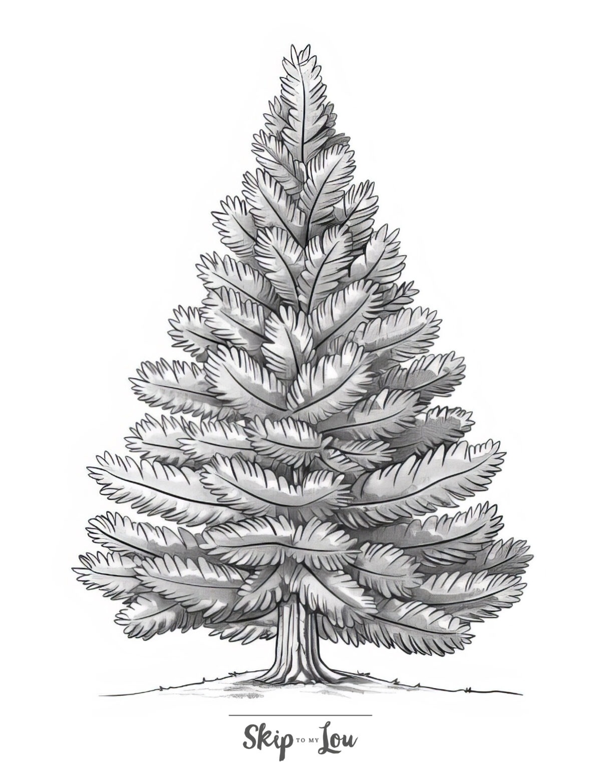 A tree coloring page featuring a conifer Christmas tree.
