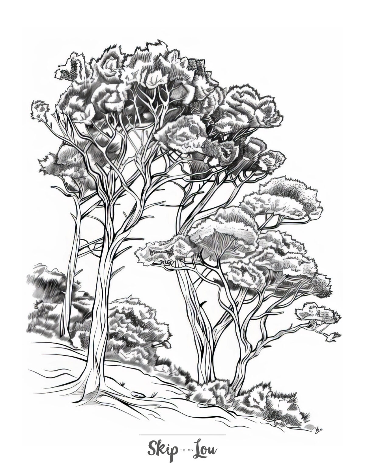A tree coloring page featuring a juniper tree.
