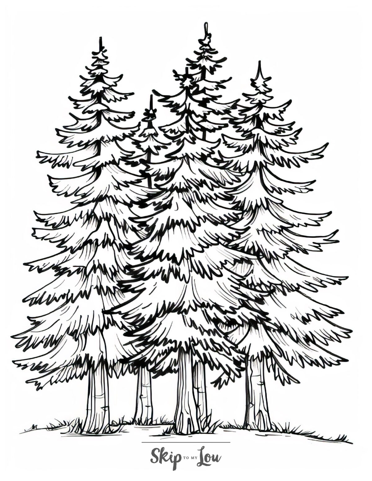 pine tree coloring page for adults