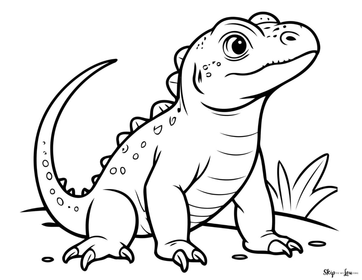 komodo dragon