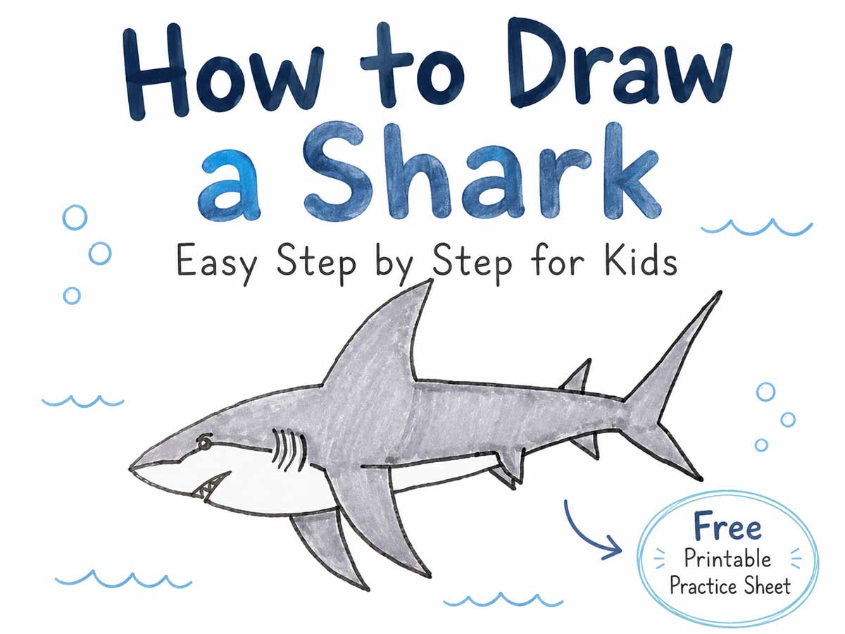 How to draw a shark step by step for kids with a gray shark drawing and free printable practice sheet.