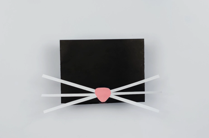 A black piece of paper with the cat's nose secured.