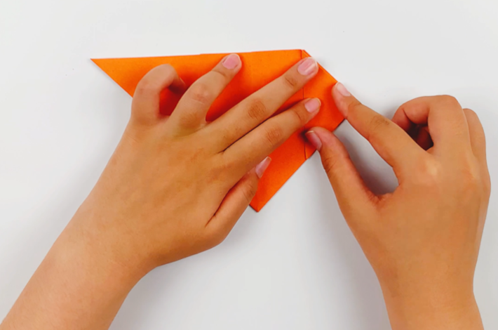 Two hands flipping the paper over and make the same fold on right-hand side.