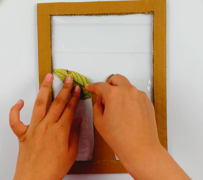 Two hands sticking a leaf onto the scotch tape to begin forming the tree.