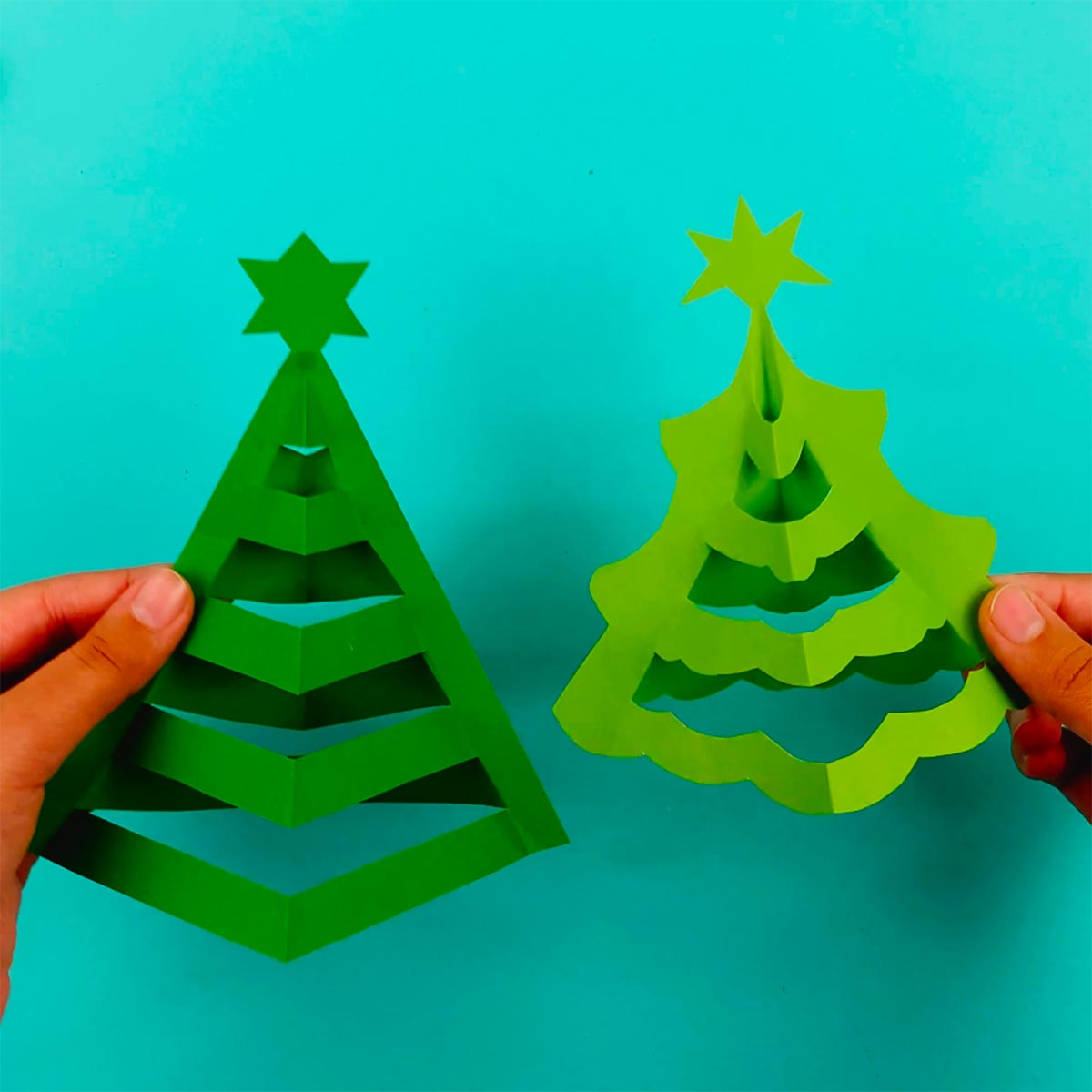 Two hands holding the finished 3D paper trees from the two downloadable templates.