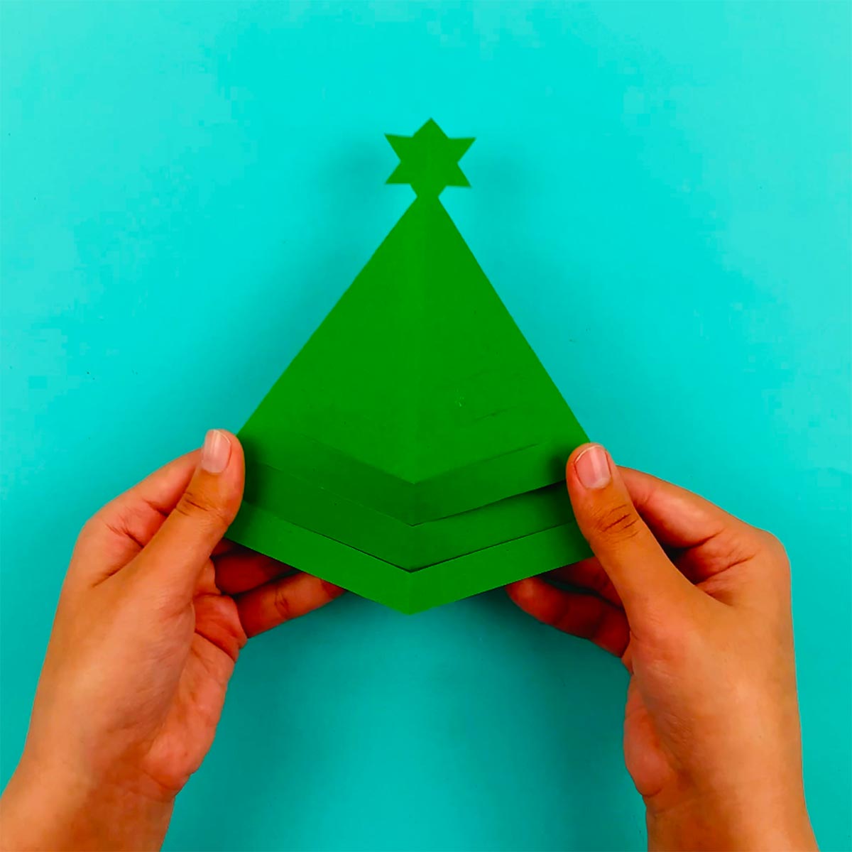 Two hands holding the christmas tree shape.