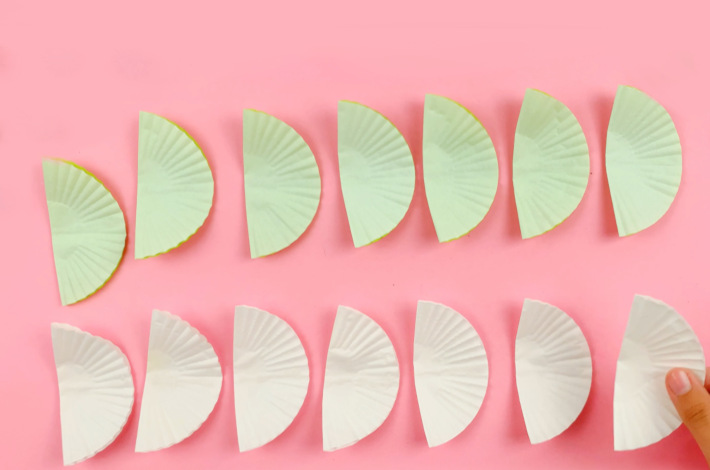 Seven green and seven white cupcake liners in two rows.