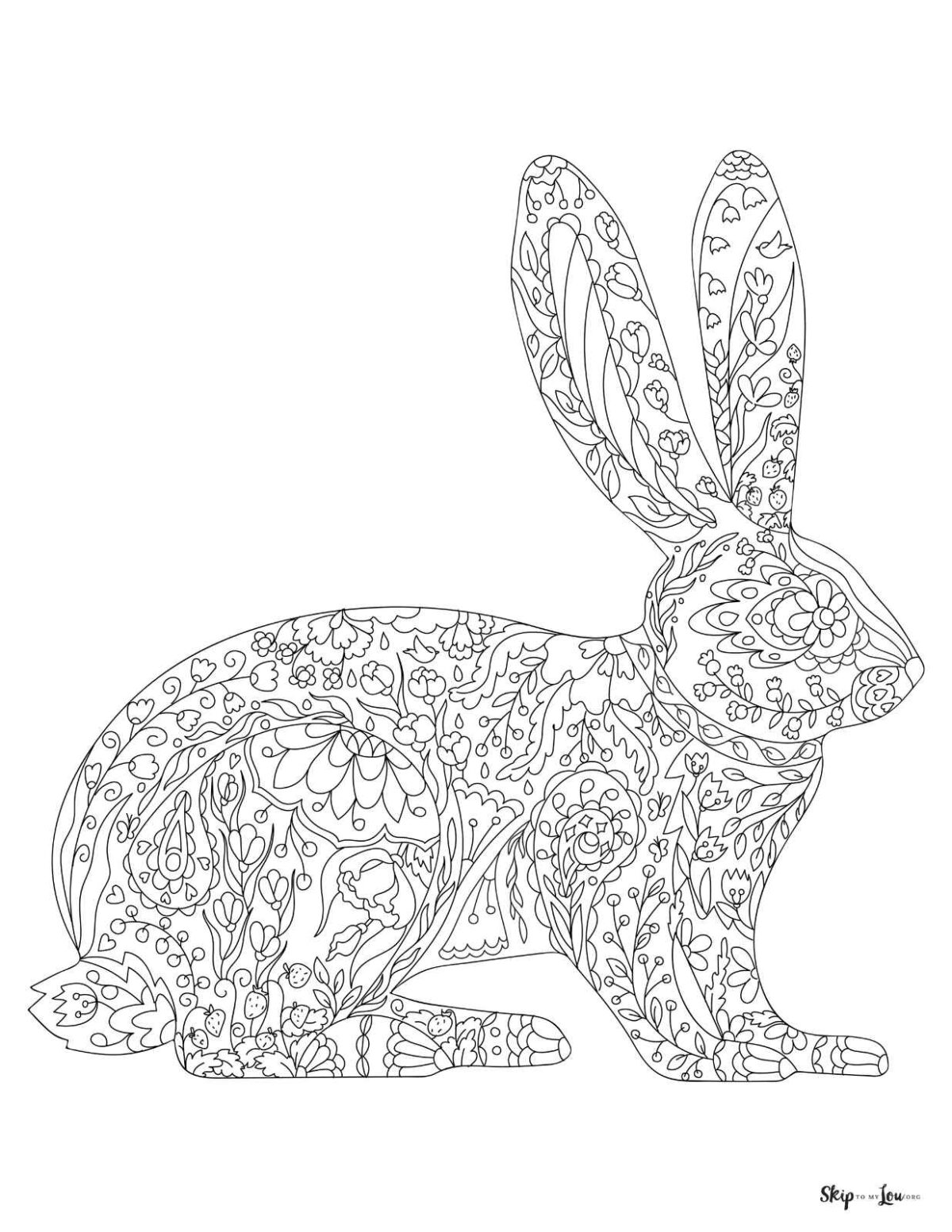 rabbit filled with doodles