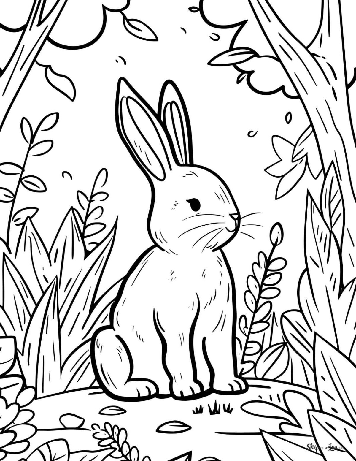 rabbit in the woods