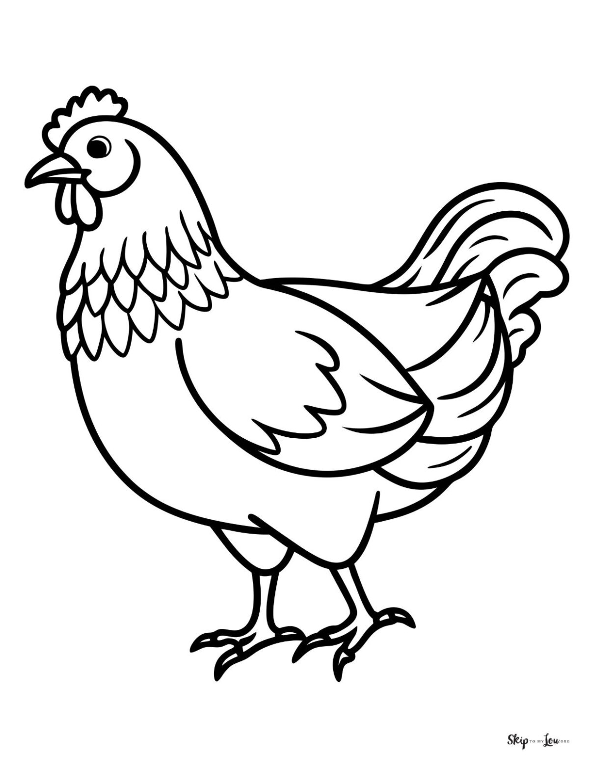 chicken illustration