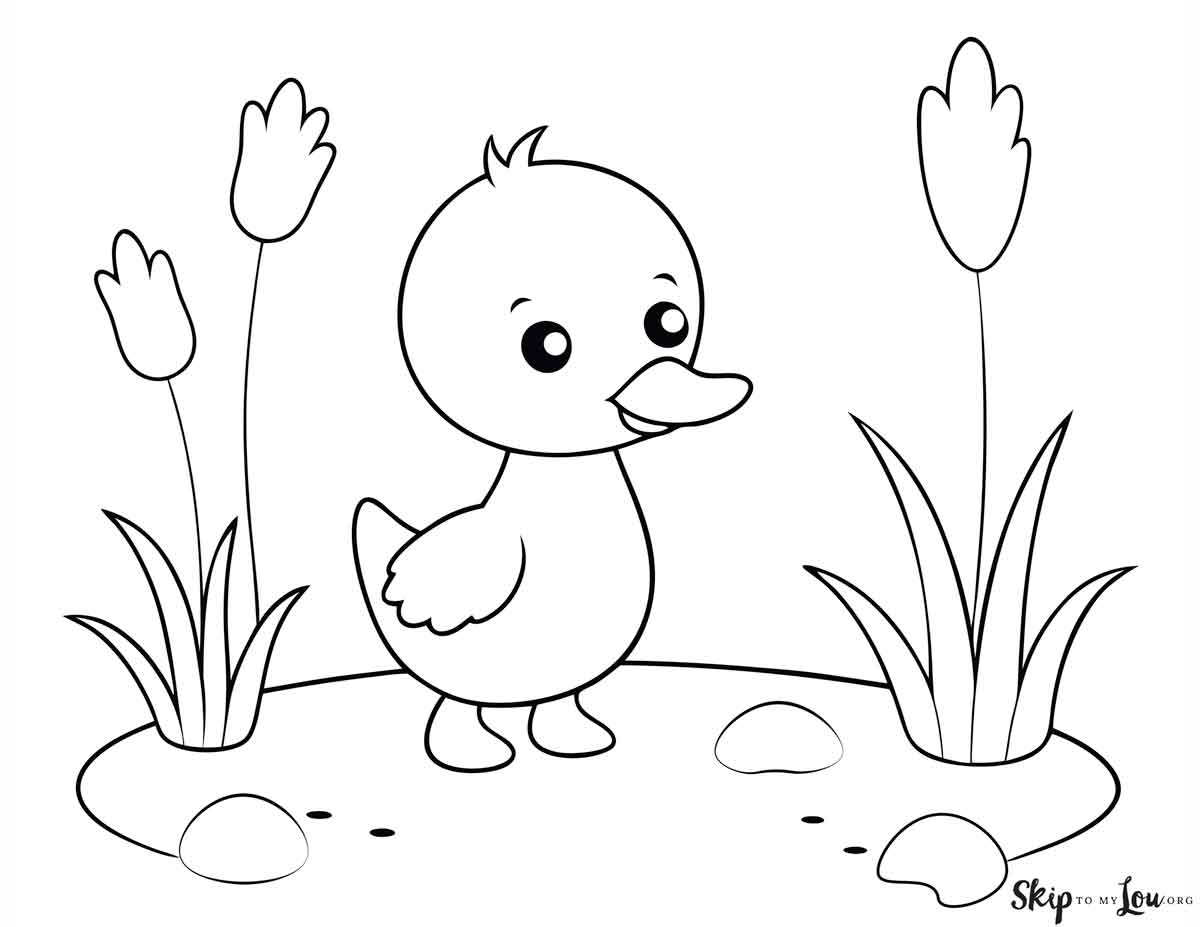 cute kawaii duckling