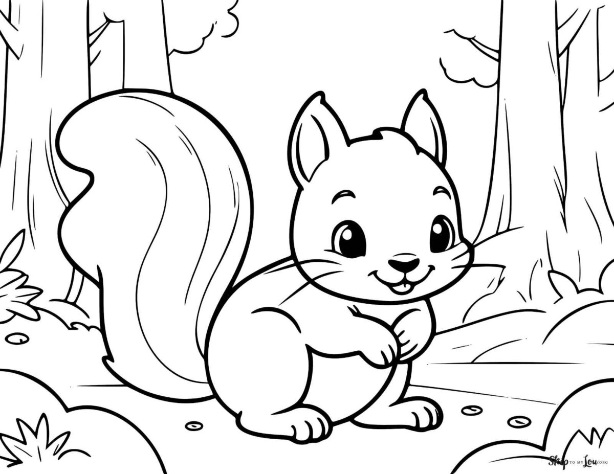 cute squirrels in woods