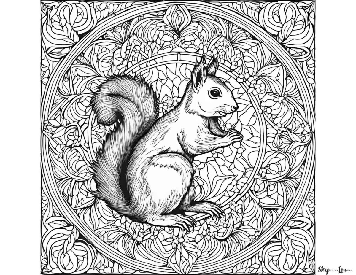 very detailed squirrel mandala