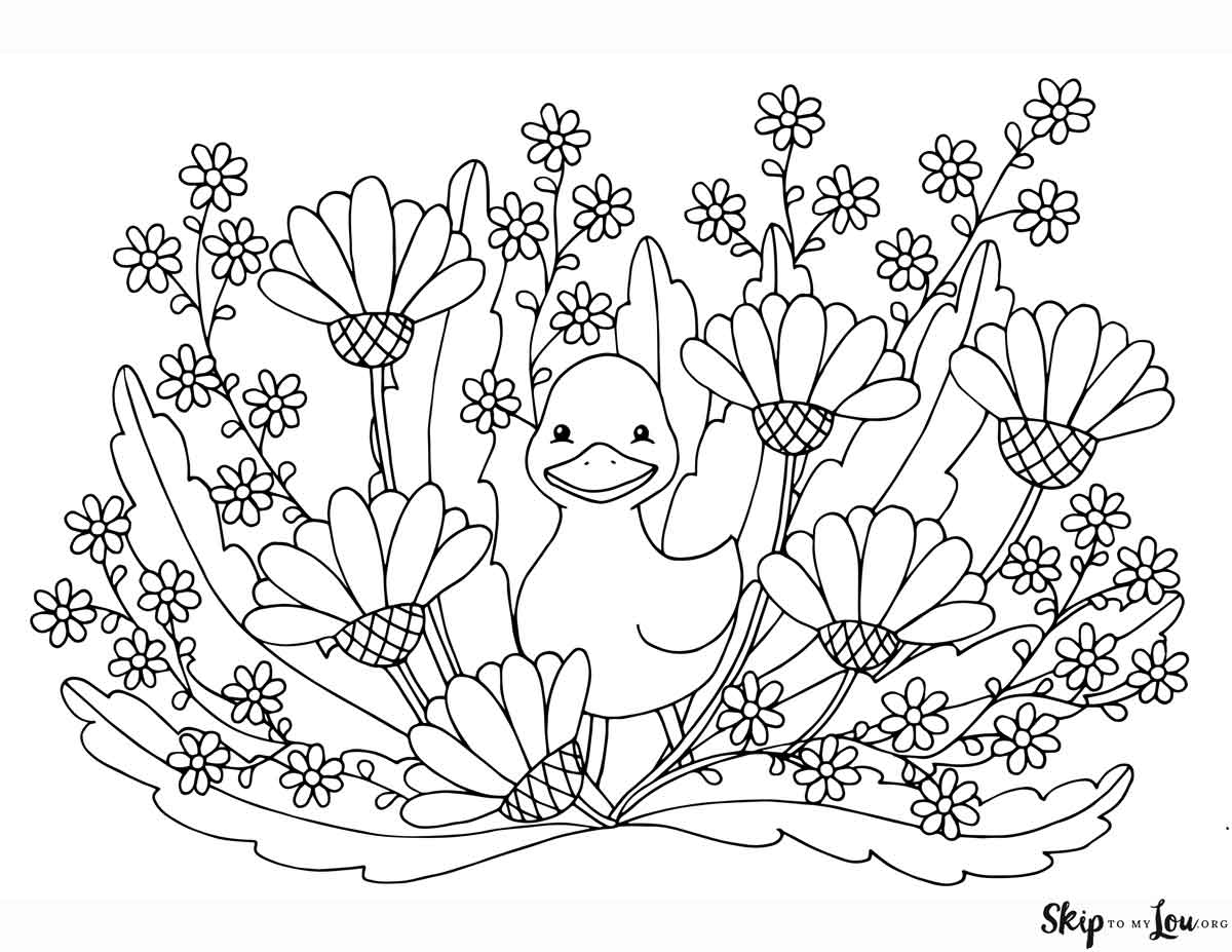 duck in flowers