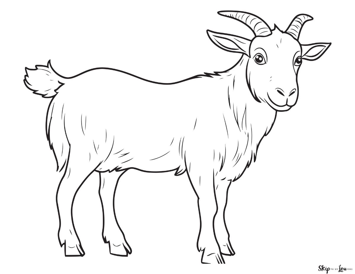 goat coloring page